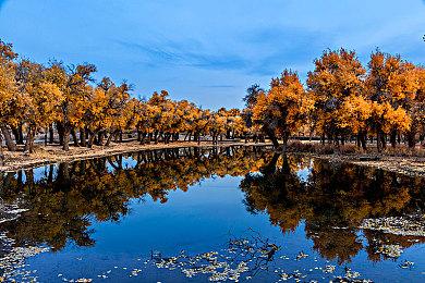 重启版《袋鼠闯天关》将于今年夏季登陆全平台